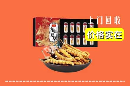 临汾市隰县回收冬虫夏草