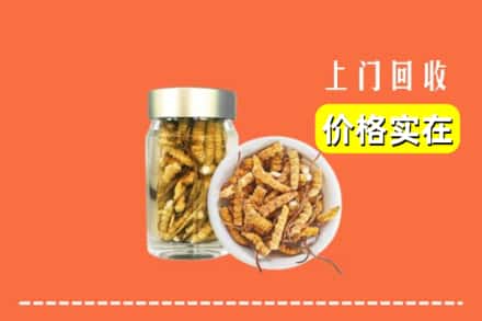 临汾市隰县回收散虫草