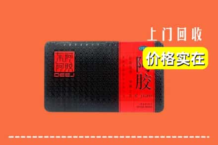 临汾市隰县回收阿胶