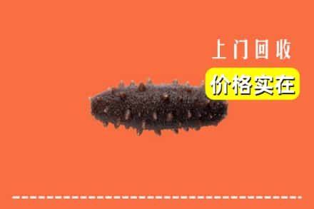 临汾市隰县回收海参