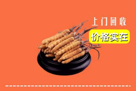 临汾市隰县回收冬虫夏草